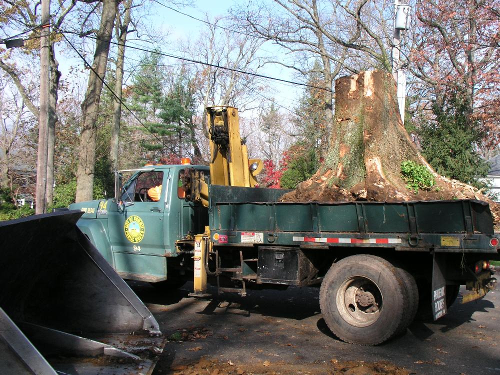 Disaster Operations 2